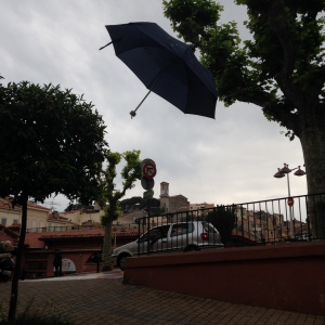 Il pleut des parapluies